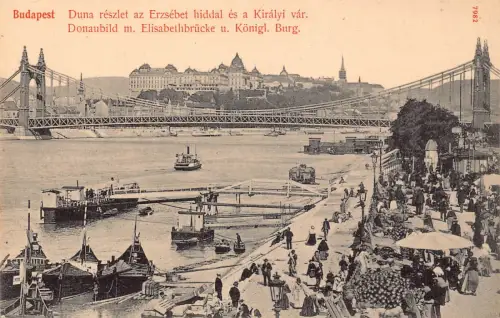 B053 Ungarn Donau Ansicht Elisabethbrücke Königliches Schloss Boote Vintage Postkarte