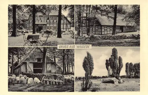A178 Deutschland Gruss aus Wilsede Schafpension Terrasse Vintage Postkarte