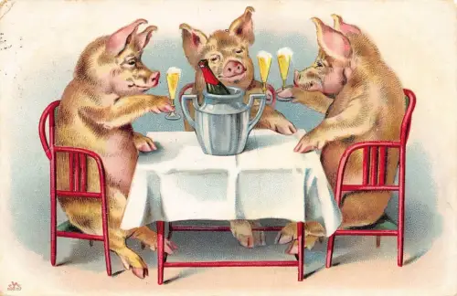 L348 Grüße 1905 Humanisierte Schweine trinken Champagner Comic Vintage Postkarte