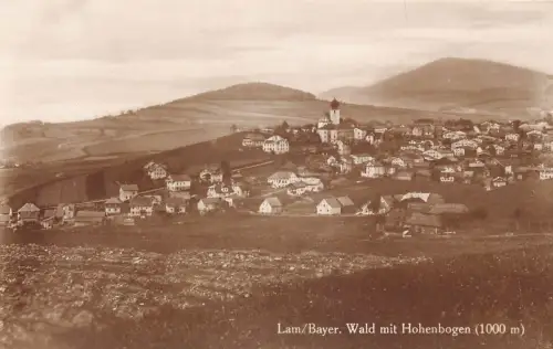 L183 Deutschland Hohenbogen Lam Bayr Walddorf Vintage Postkarte