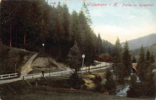 Deutschland Wildemann i H Partie im Spiegeltal Vintage Postkarte