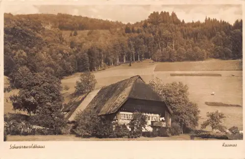 L207 Deutschland Schwarzwaldhaus Schwarzwald Vintage Postkarte