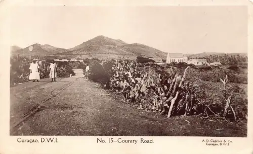 L526 Curacao DWI Landstraße Echtfoto Vintage Postkarte