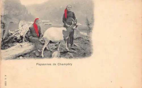 A640 Schweiz Paysannes de Champery Bäuerinnen Melken Ziege Postkarte