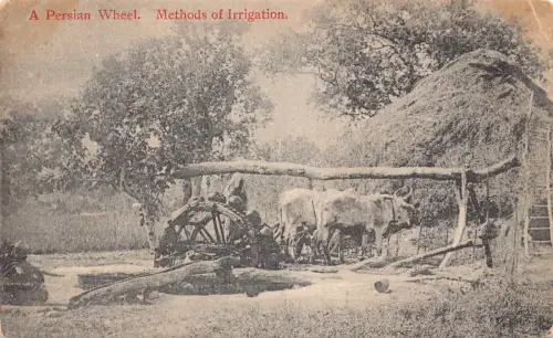 A864 Iran Persisches Rad Methoden der Bewässerung Wassermühle Ochse Vintage Postkarte