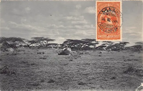 B634 Äthiopien 1914 Addis Abeba Akazien Steppe Vintage Postkarte