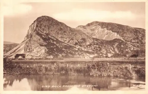 A905 Wales Bird Rock aus der Vintage Postkarte Dysynni
