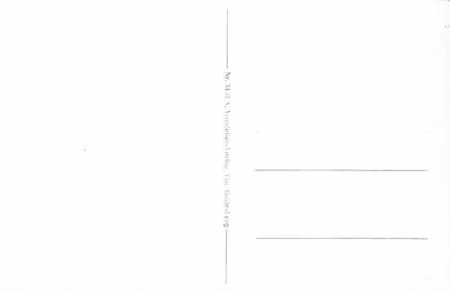 B090 Deutschland Rolandsbogen Drachenfels RPPC Vintage Postkarte