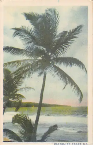 B621 Britisch-Guayana Guyana Essequibo Küste Vintage Postkarte