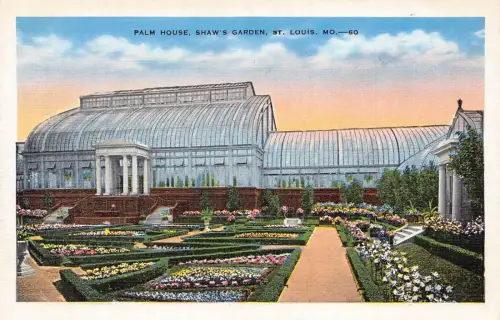 A987 US Palm House Shaw's Garden St Louis Missouri Vintage Postkarte