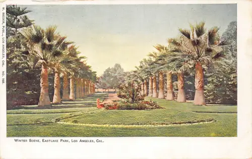 A194 US Kalifornien Los Angeles Winterszene Eastlake Park Vintage Postkarte
