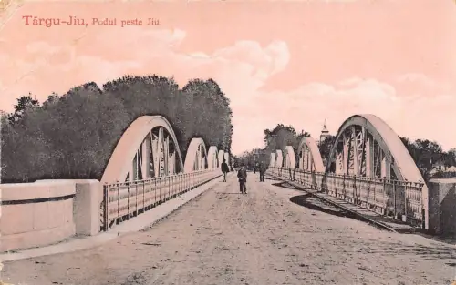L034 Rumänien Targu-Jiu Brücke über den Fluss Jiu Vintage Postkarte