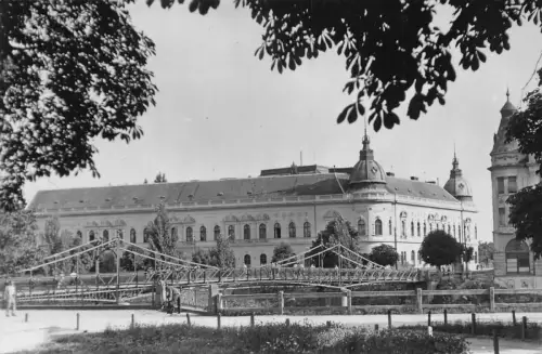 B260 Rumänien Oradea Nagyvarad Podul Suspendat Birdge RPPC Postkarte