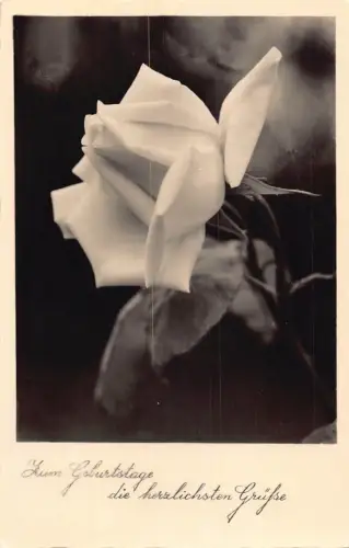 Geburtstagsgrüße 1935 Passepartout Rose Blume Vintage Postkarte