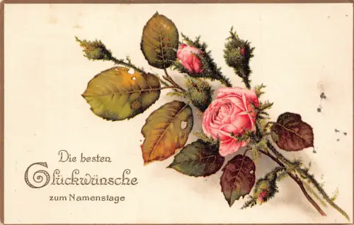 Namenstag Grüße 1917 Wildrosen Blumen und Knospen Vintage Postkarte