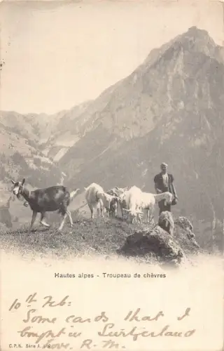 A641 Schweiz 1906 Hautes Alpes troupeau de chevres Ziegen Bauern Postkarte