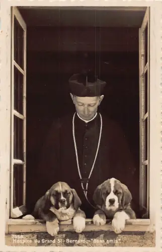 A846 Schweiz Hospiz du Großmönch Bernhardiner Welpen RPPC Vintage Postkarte