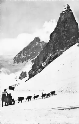 A846 Schweiz Jungfraujoch Wetterstation Hund gezogen Schlitten Postkarte