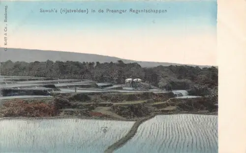 L281 Indonesien Niederländisch-Ostindien Reisfelder Sawahs Preanger Regentschappen