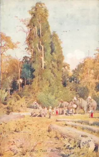 L255 Burma Myanmar Loading Teak Elephants Postkarte