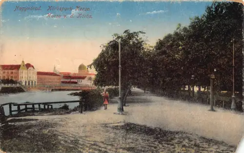 L508 Rumänien Nagyvarad Oradea Synagoge Corso Cris Fluss Vintage Postkarte