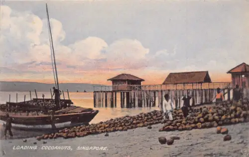 L254 Singapur Lade Kokosnüsse Boot Postkarte