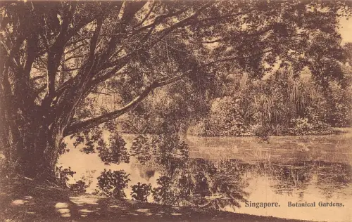 Postkarte L254 Botanischer Garten Singapur