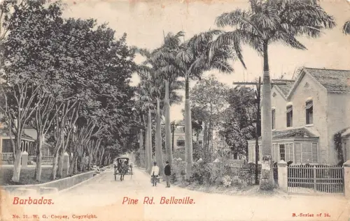 A865 Barbados Pine Road Belleville Kutsche Vintage Postkarte
