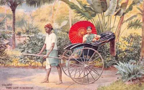 B431 Ceylon Sri Lanka Colombo Tamilische Dame in Rikscha Ureinwohner Ethnische Postkarte