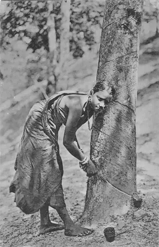 B431 Ceylon Sri Lanka Ureinwohner Ethnisches Mädchen Klopfen Gummi Postkarte