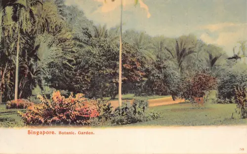 L550 Singapore Botanic Garden Vintage Postkarte