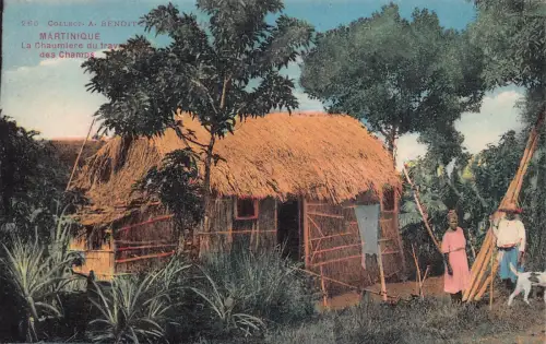 B157 Martinique La Chaumiere du travail des Champs Hut Ureinwohner Ethnische Postkarte