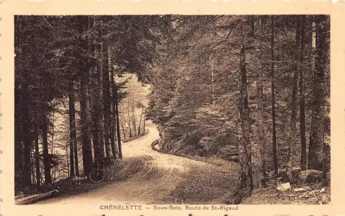 A658 Frankreich Chenelette Sous Bois Route de St Rigaud Wald Vintage Postkarte