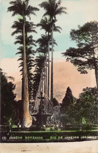 A664 Brasilien Rio de Janeiro Jardin Botanico Botanischer Garten Vintage Postkarte