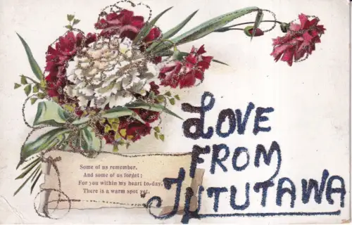 Neuseeland Liebe aus Tututawa Nelke Blumen Glitzer Postkarte