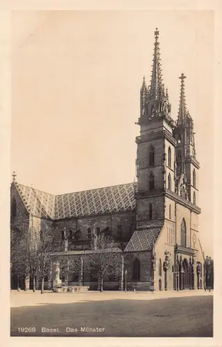 L312 Schweiz Münster Basler Dom Vintage Postkarte.