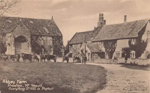 England Abbey Farm Preston Yeovil St Ivel Cattle Vintage Postkarte