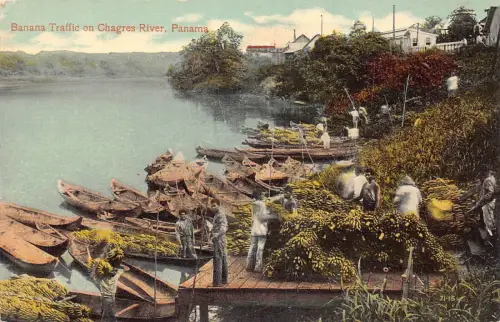 L334 Panama Banana Traffic on Charges River Boats Vintage Postkarte