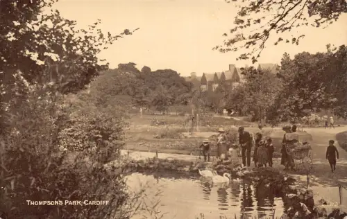 A776 Wales Thompson's Park Cardiff Swans Vintage Postkarte