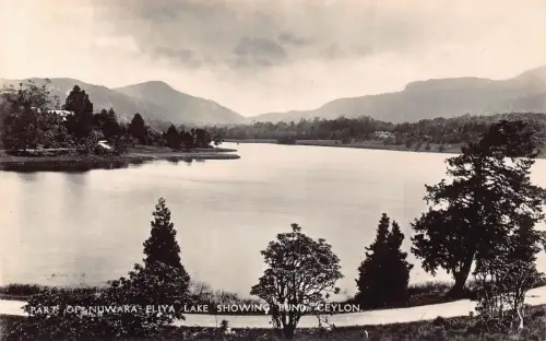 A778 Ceylon Sri Lanka Teil des Nuwara Eliya Sees zeigt Bund alte Postkarte