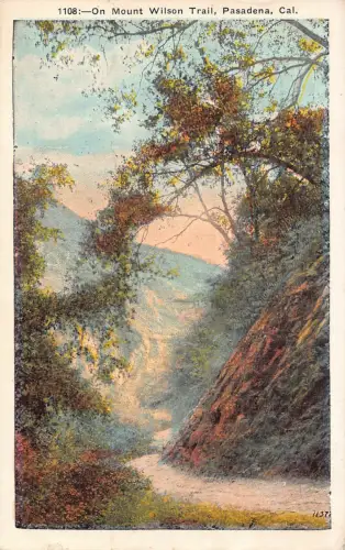 A899 USA 1930 Kalifornien auf Mount Wilson Trail Pasadena Vintage Postkarte