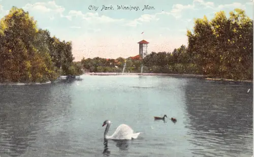 A900 Canada City Park Winnipeg Man Swan Lake Vintage Postkarte