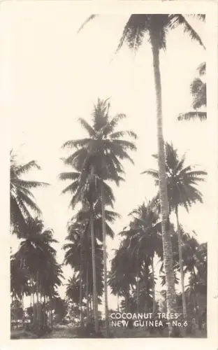 B643 Papua-Neuguinea Kokosnussbäume RPPC Vintage Postkarte