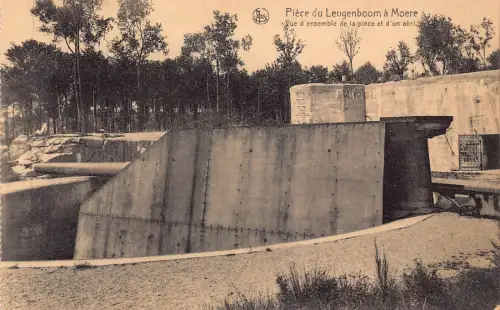 A903 Belgien Piece du Leugenboom a Moere D'un abri Vintage Postkarte