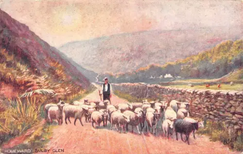 B064 Schottland 1906 Homeward Sulby Glen Shep Shepherd Vintage Postkarte