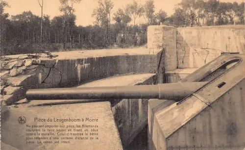 A903 Belgien Piece du Leugenboom a Moere Canon Vintage Postkarte