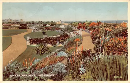 A904 England 1959 Versunkene Gärten Westbrook Vintage Postkarte