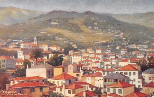 B175 Portugal Madeira Blick auf Funchal Vintage Postkarte