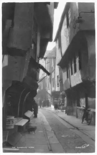 England Shambles York Black Cat Fahrrad RPPC Vintage Postkarte