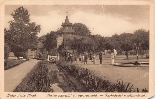 L516 Rumänien Bihor Baile Felix Park Vintage Postkarte